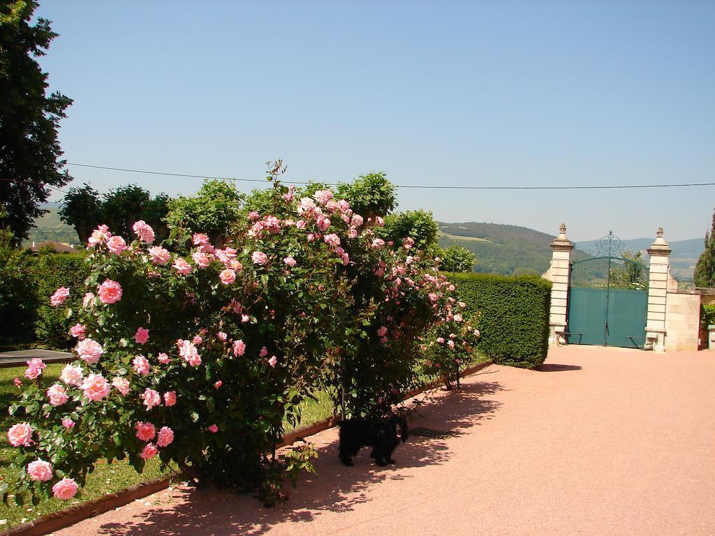 Bed and Breakfast Gentilhommiere De Collonges Prissé Exterior foto